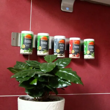 / Flat / Im Herzen Von Drezno