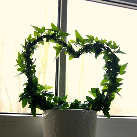 / Flat / Im Herzen Von Drezno