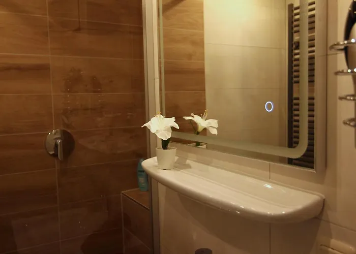 / Flat / Im Herzen Von * Dresda