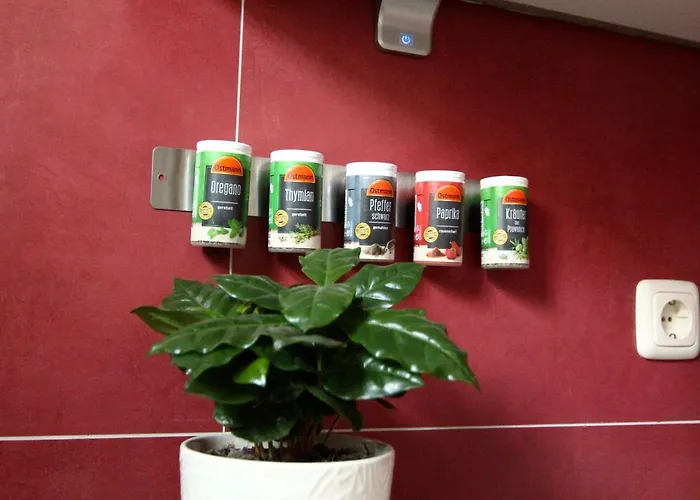 / Flat / Im Herzen Von Дрезден