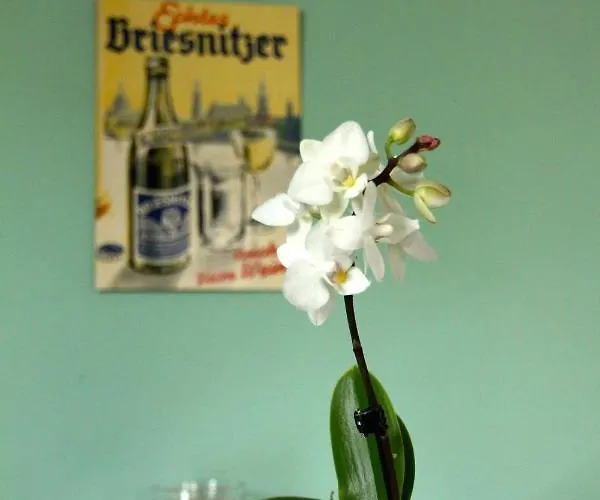 / Flat / Im Herzen Von Дрезден