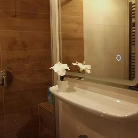 / Flat / Im Herzen Von * Dresden