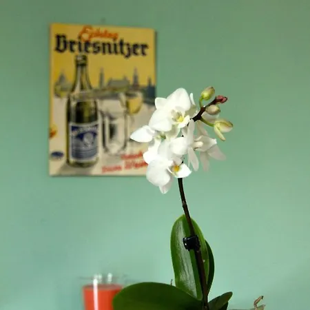 / Flat / Im Herzen Von Dresden